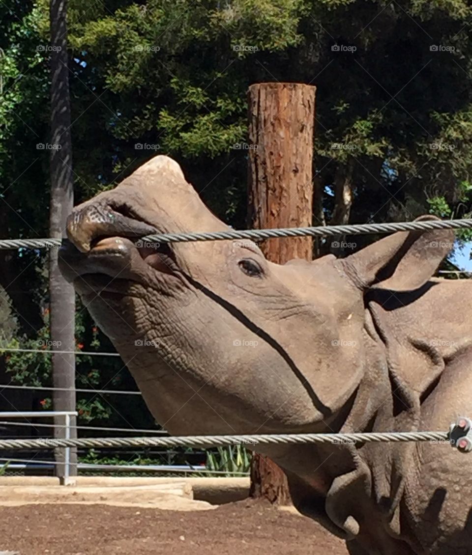 They say that breaking out is hard to do!!