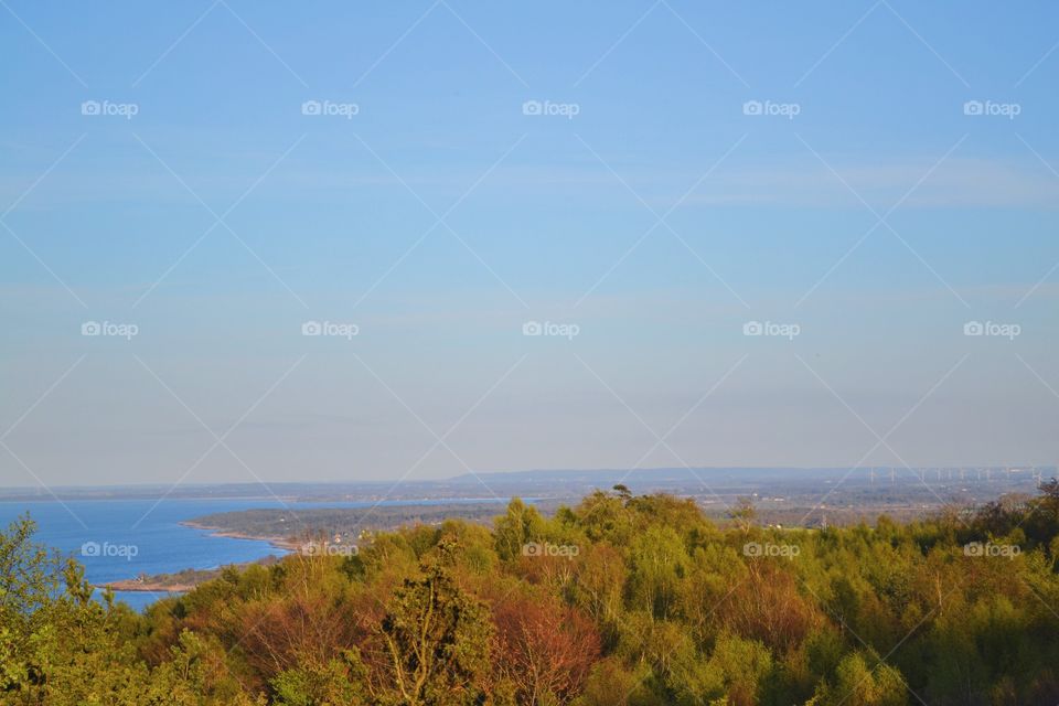 Landscape, Tree, Fall, No Person, Nature