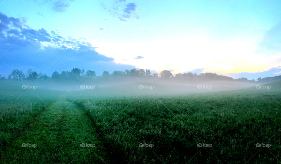 Scenic view of agriculture field in mist