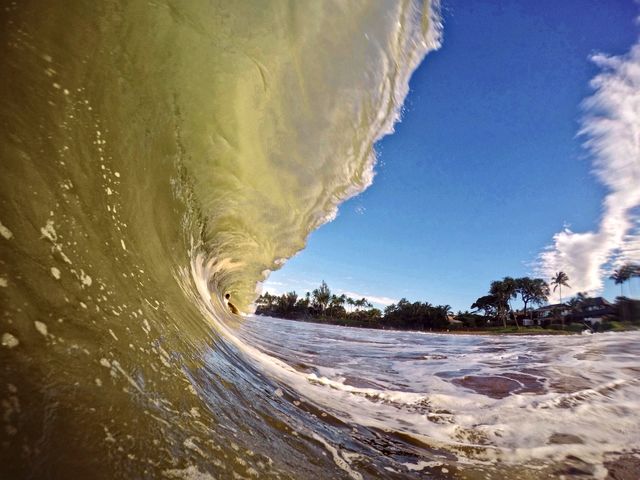 wave