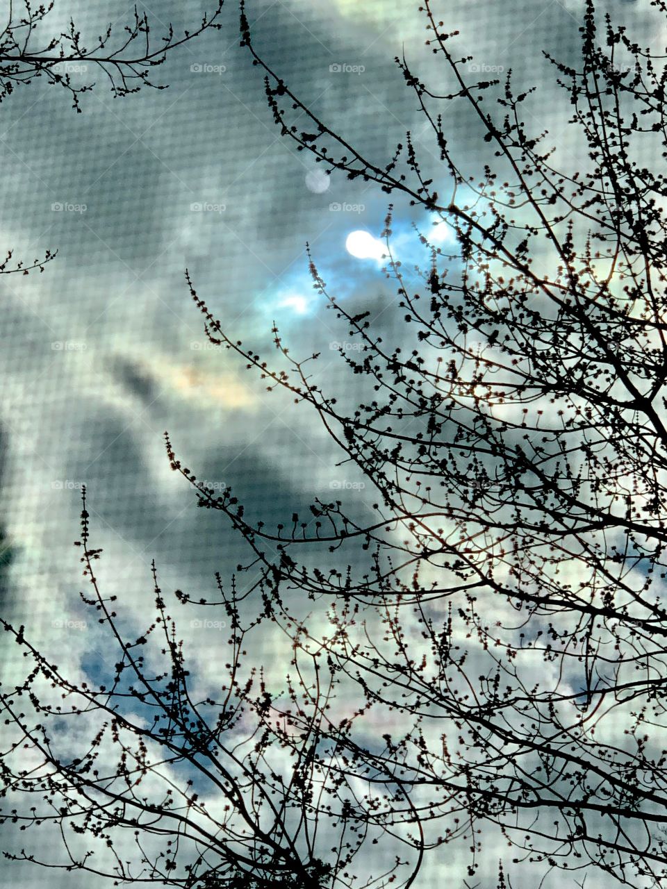 the sun behind clouds and trees through looking through a window