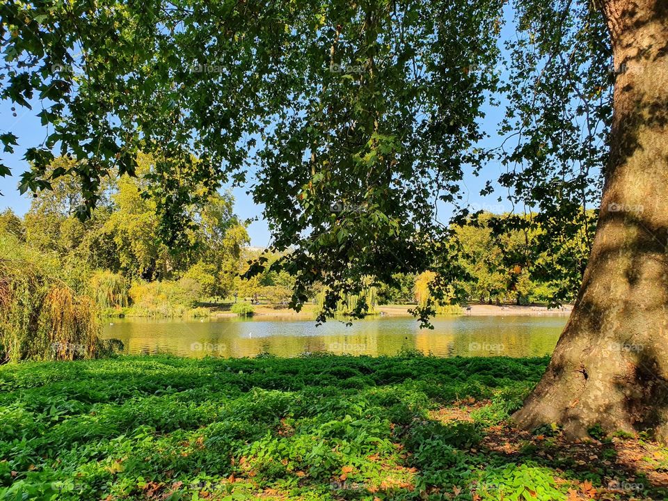 A summer afternoon at St. James park