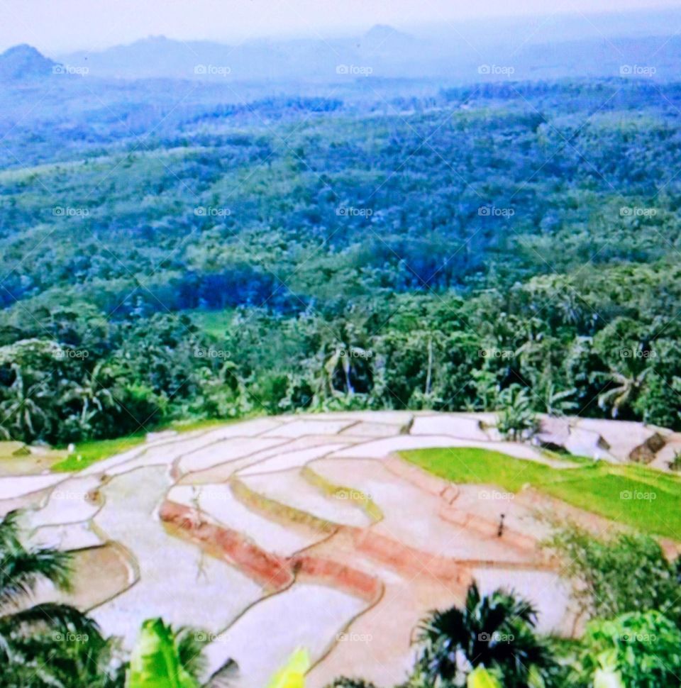 It is very beautiful to see the rice fields neatly arranged between hills and mountains. This occurs naturally where local residents cultivate into cultivated fields