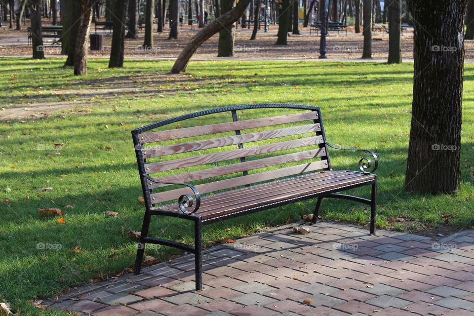 empty public park bench with metal ornaments