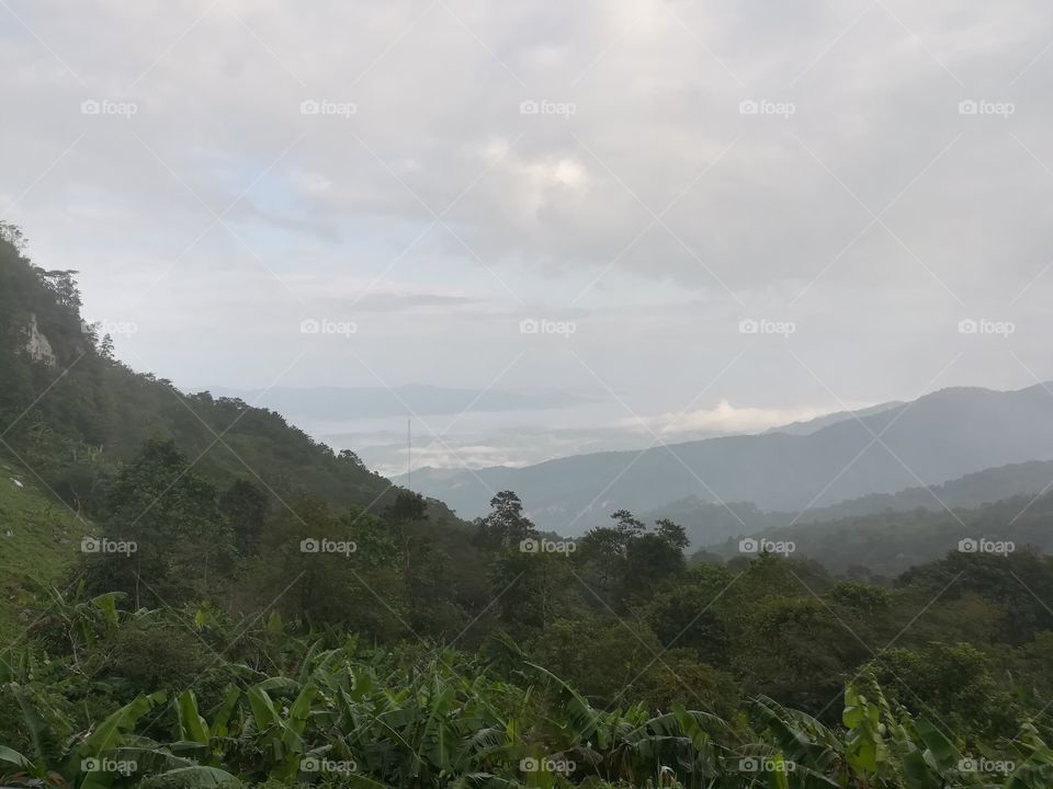 Mountain with fog