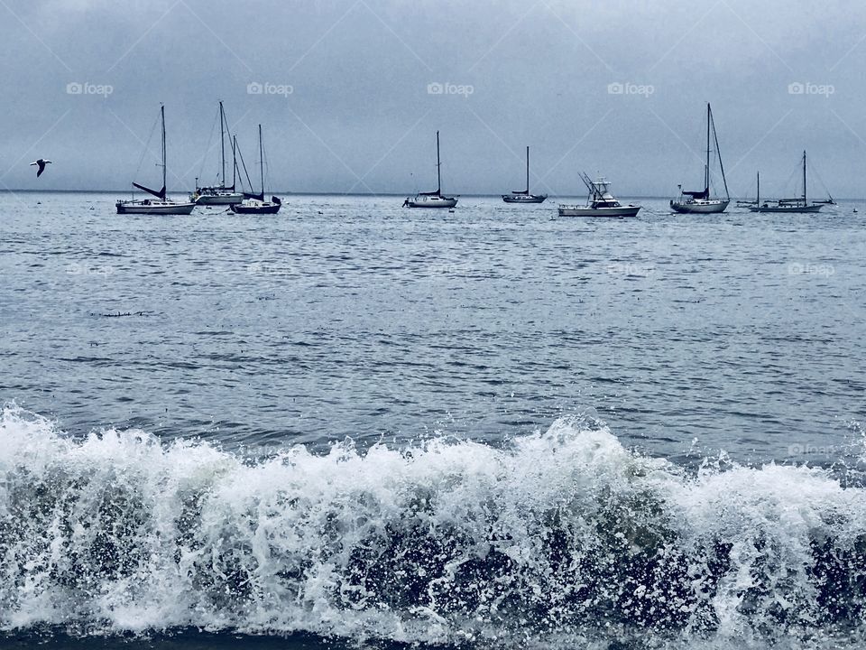 One sailing morning in the ocean 