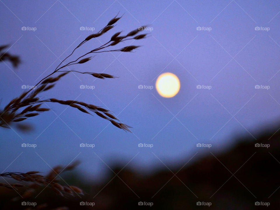 Full moon Nordkoster