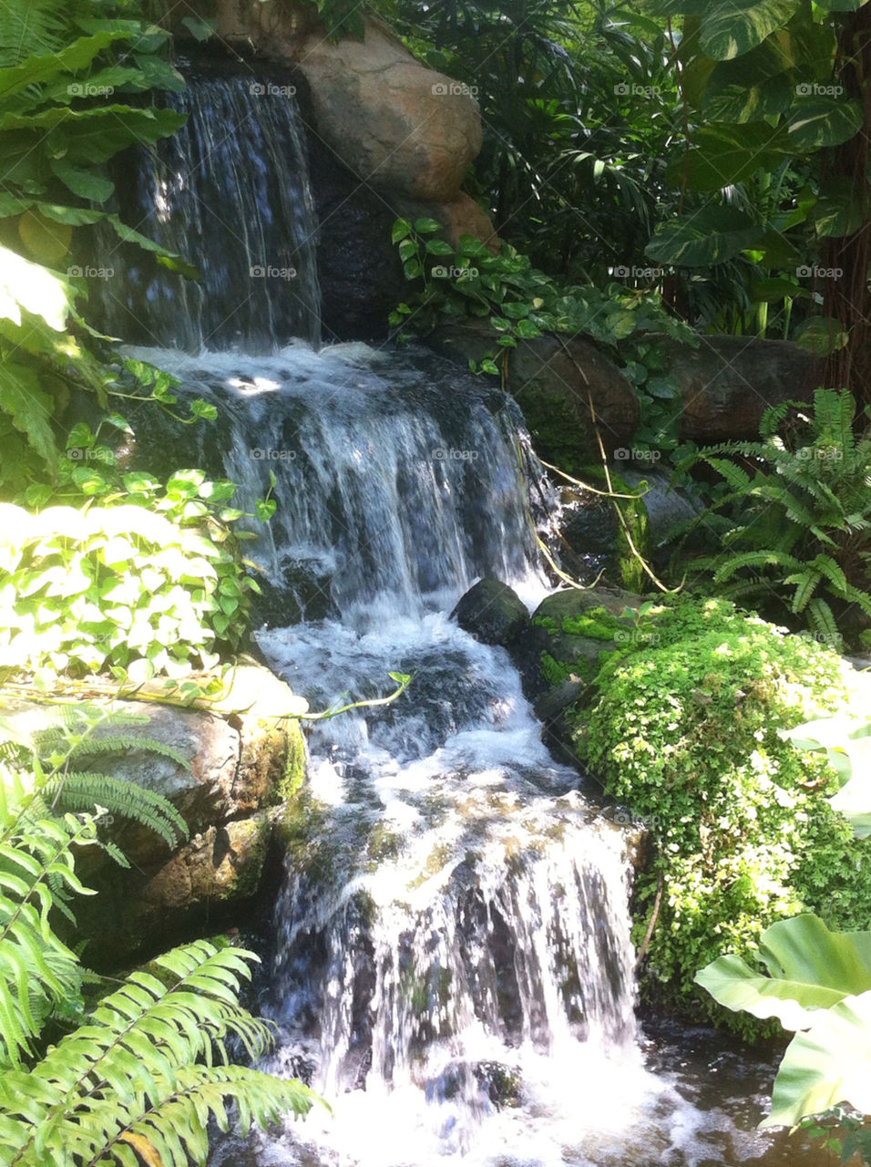 Garden, park, Waterfall