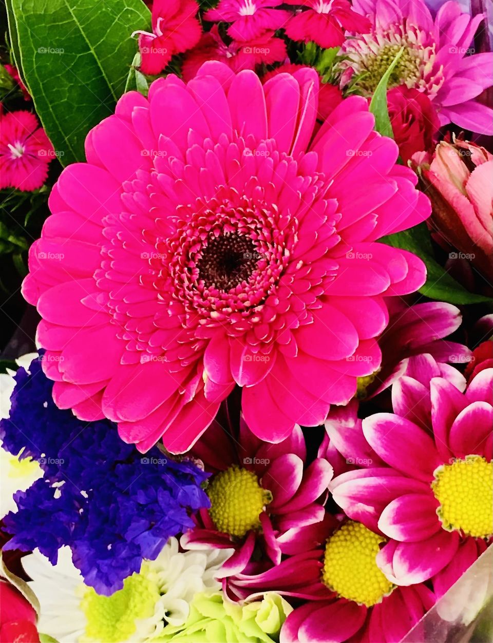 Pink Daisy Arrangement