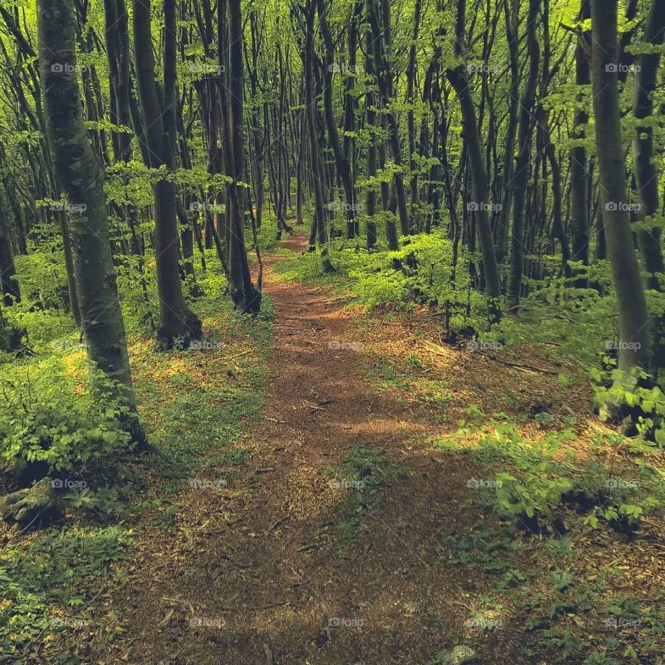 Žumberak Park Samobor in Zagreb Croatia