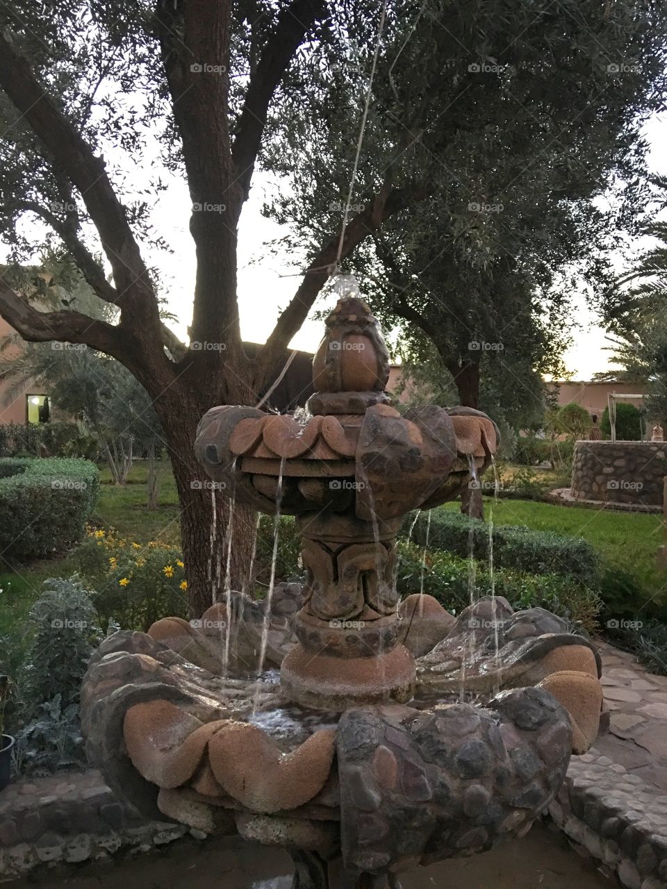 Tree, Garden, Park, Religion, People