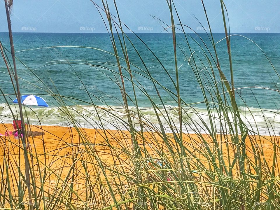 Beach Scene