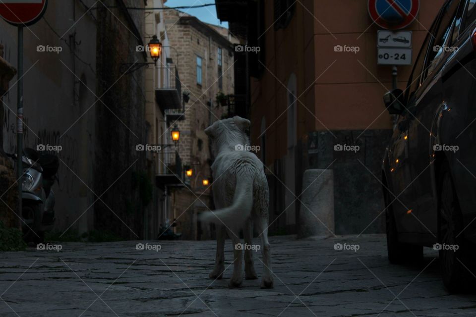 Ti aspetto torna presto