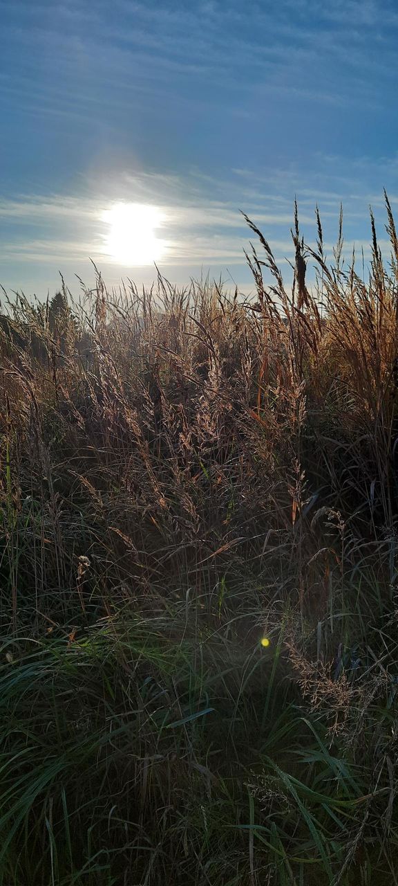 Just lovely morning