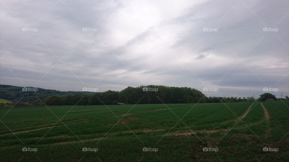 field