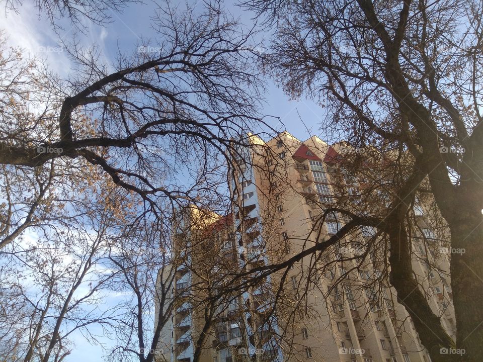 house and trees blue sky view cityscape