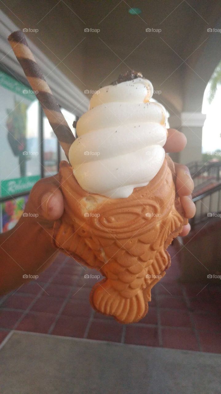 Taiyaki Ice Cream