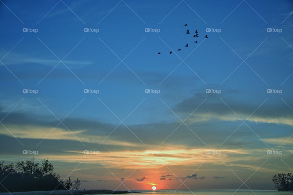 Lovely sunset with birds flew at Kota Kinabalu.