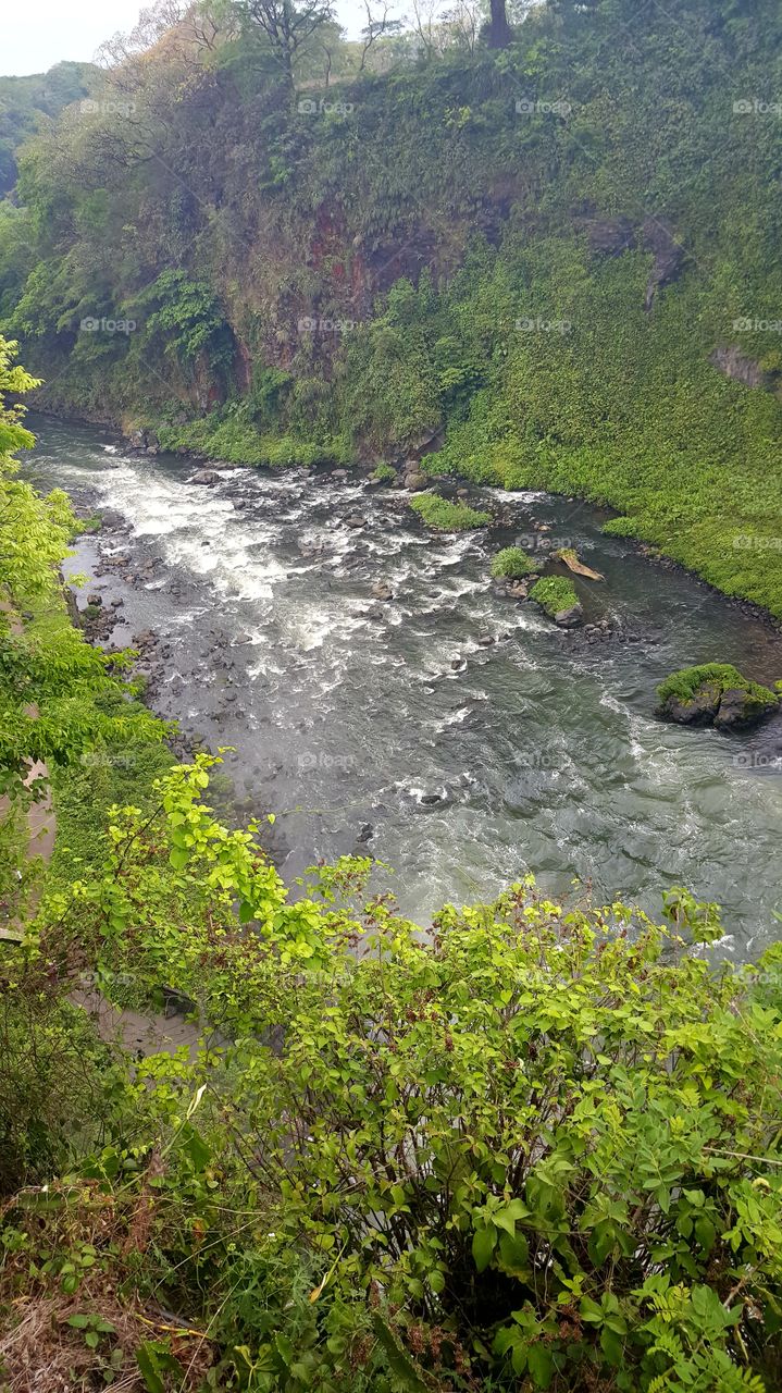 Scenic view of river