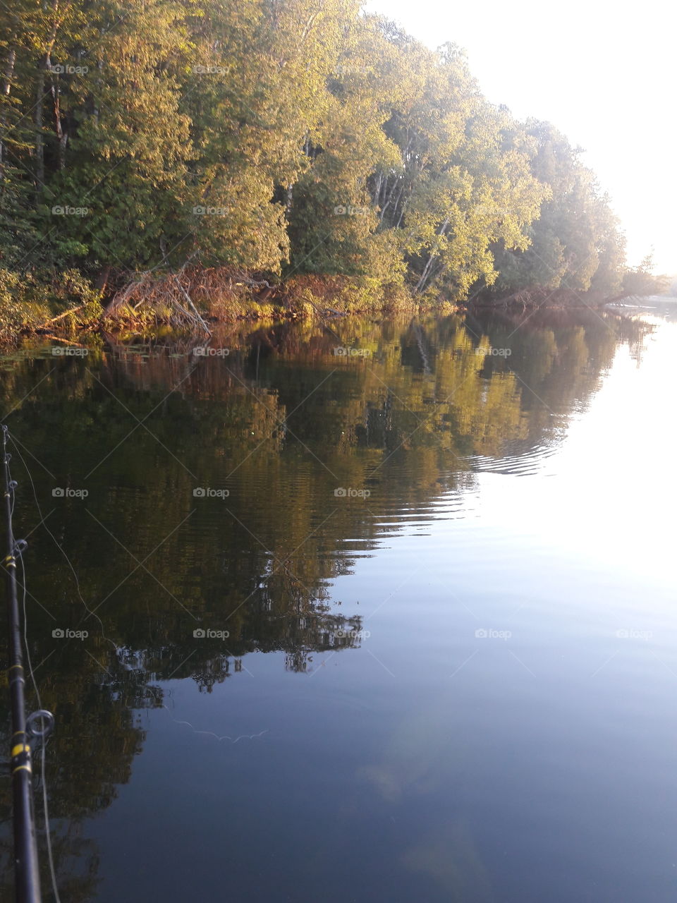 Autumn on the lake