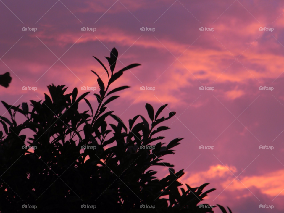 sky pink red sunset by SmileItsJo