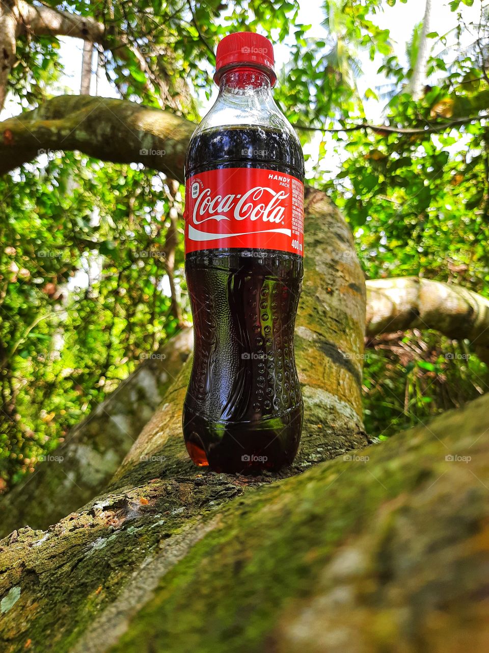 Beautiful Nature and Coca-Cola..