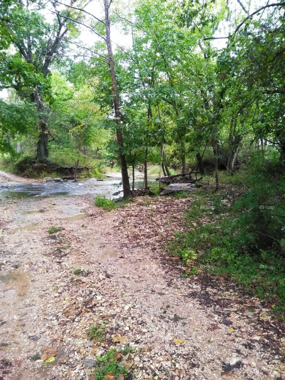 Creek in the middle of the driveway!
