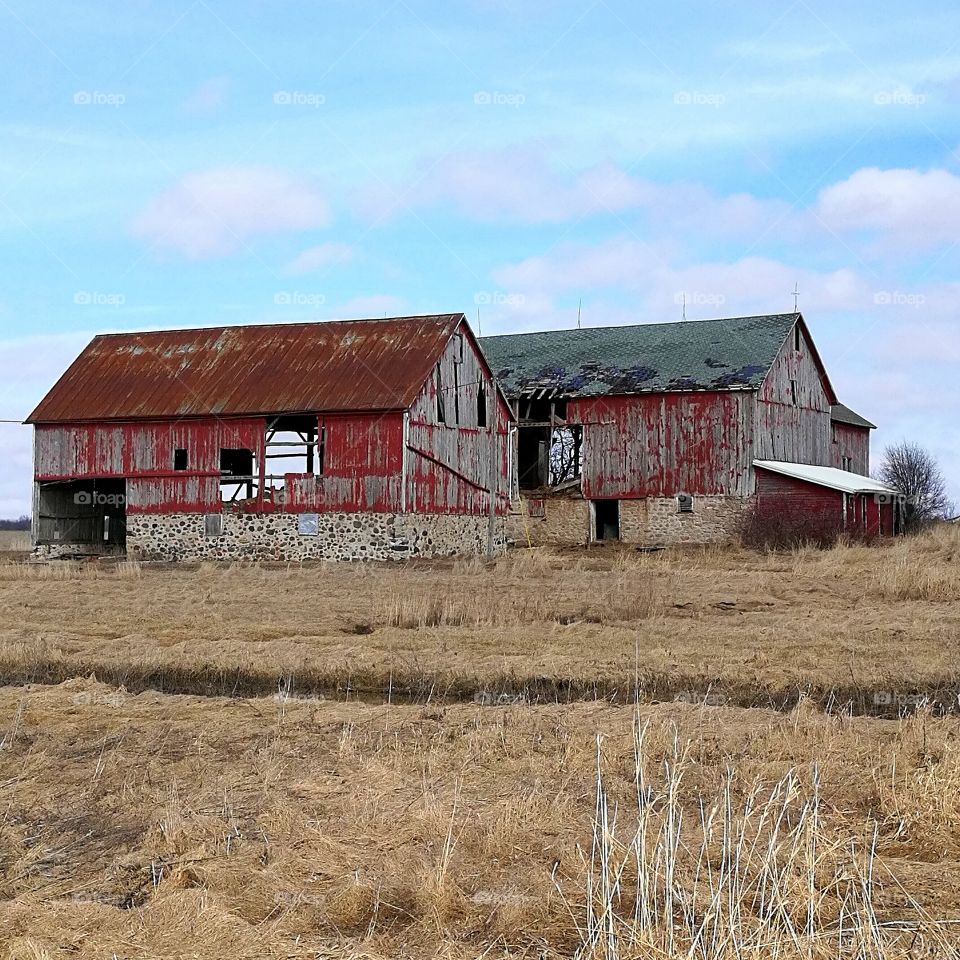Abandoned Barns