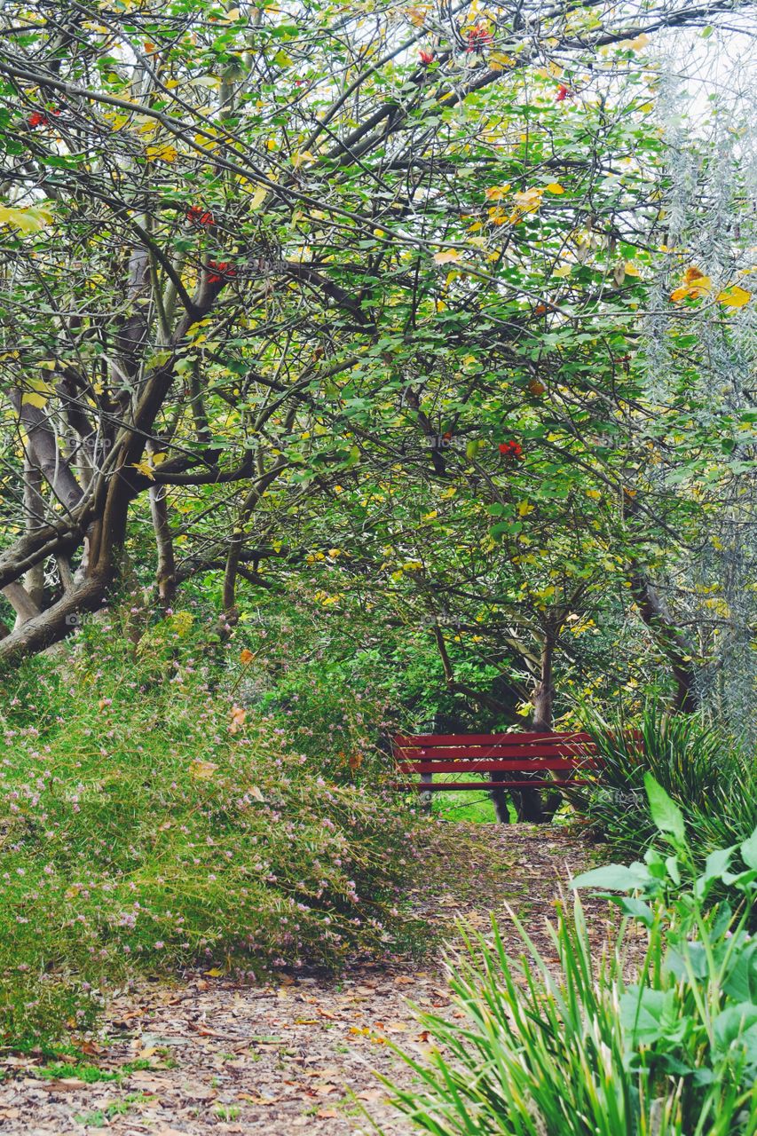 Red Bench 