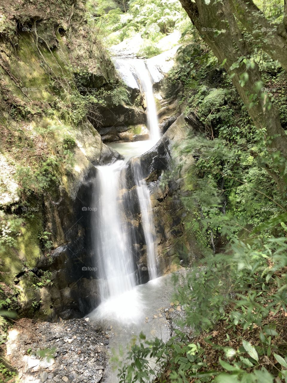 The hidden waterfalls in the forest.