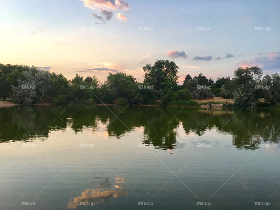 Lake, Water, Reflection, Landscape, Tree