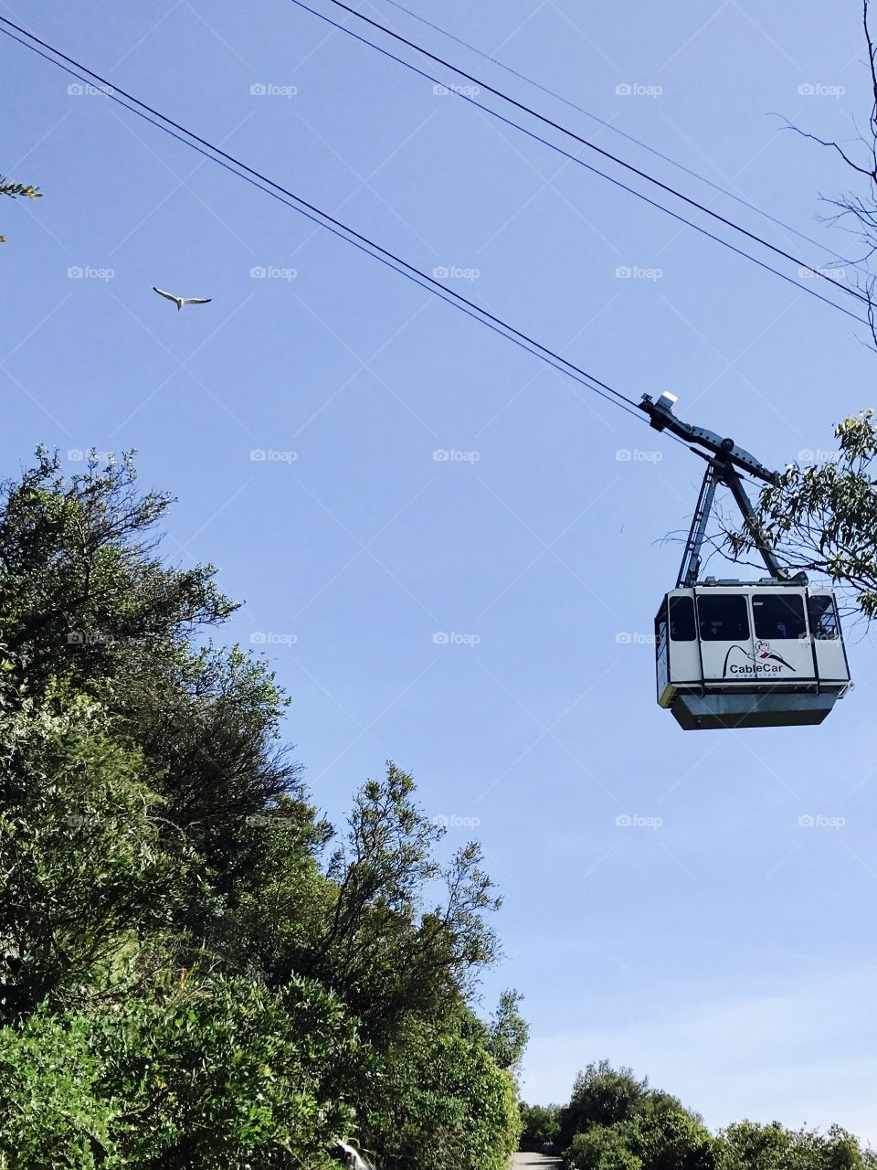 Cable Car, ride, travel, sky,Gibraltar 