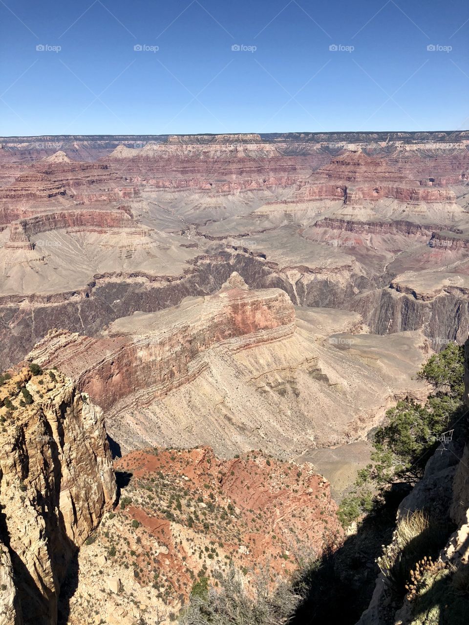 Grand Canyon-south rim- stunning views!