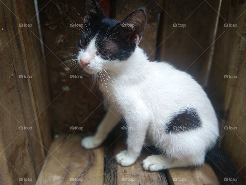 Moment freezed in photo