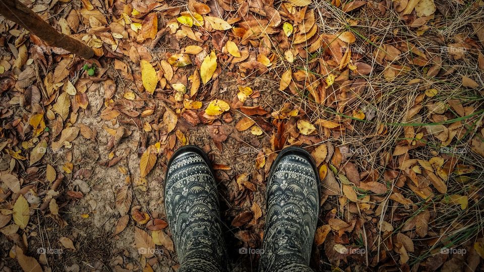 Looking down on mud boots hiking in the fall leaves