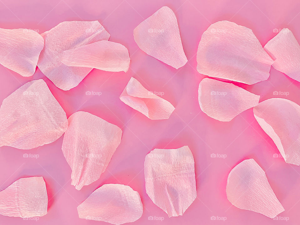 Your best flat lays. Pink paper petals in a pink background. Craft . 