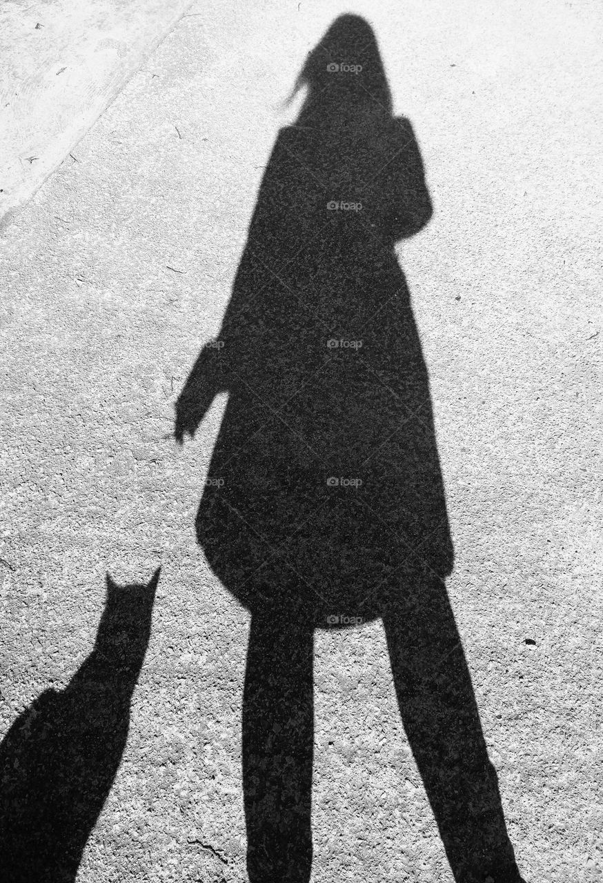 The girl in the shadow and the cat next to her