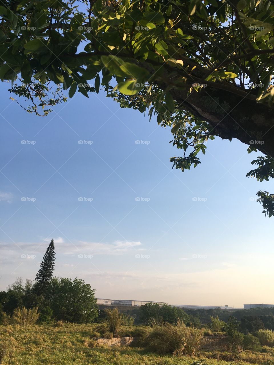 🌅06h20 - Desperte, #Jundiaí.
Que a #QuartaFeira possa valer a pena!
🍃
#sol #sun #sky #céu #photo #nature #morning #alvorada #natureza #horizonte #fotografia #pictureoftheday #paisagem #inspiração #amanhecer #mobgraphy #mobgrafia 