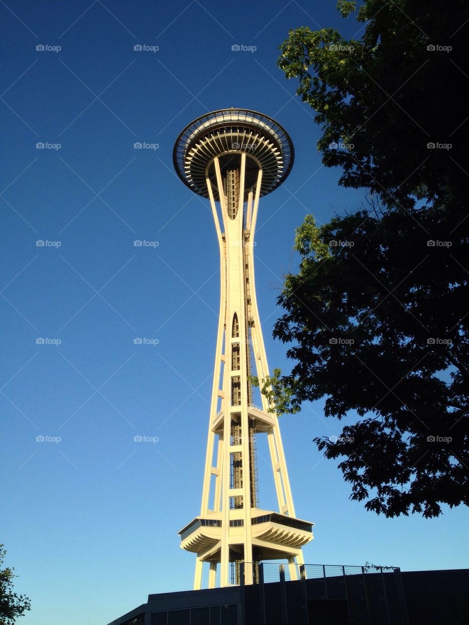 Space Needle