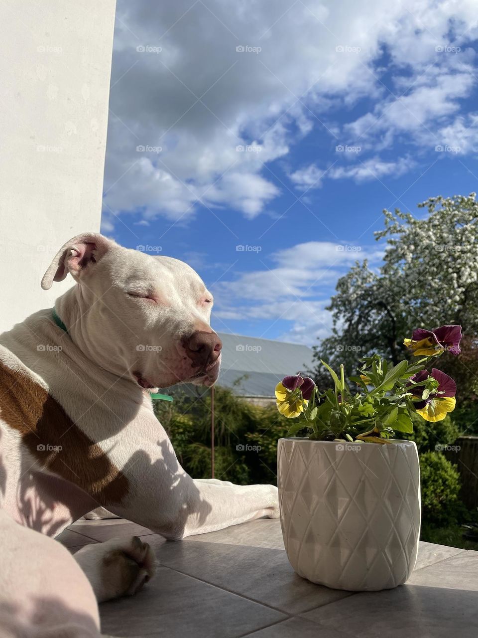 Enjoying the sun☀️