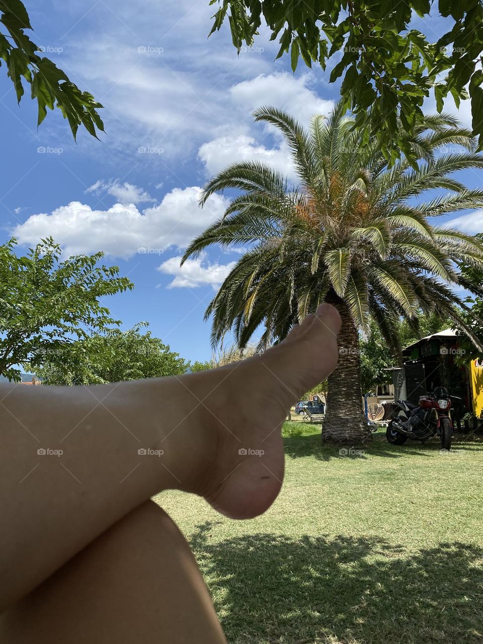 Bare foot and palm tree 
