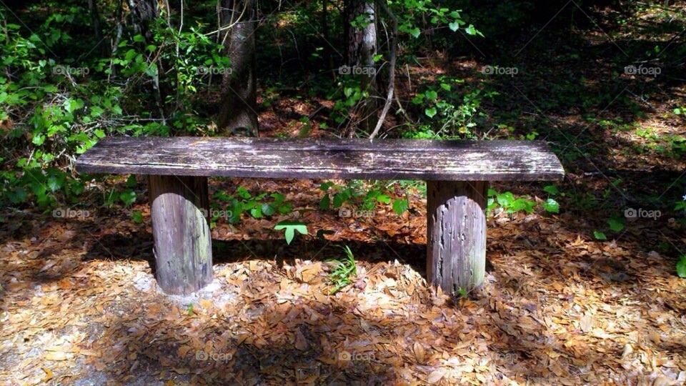 Bench