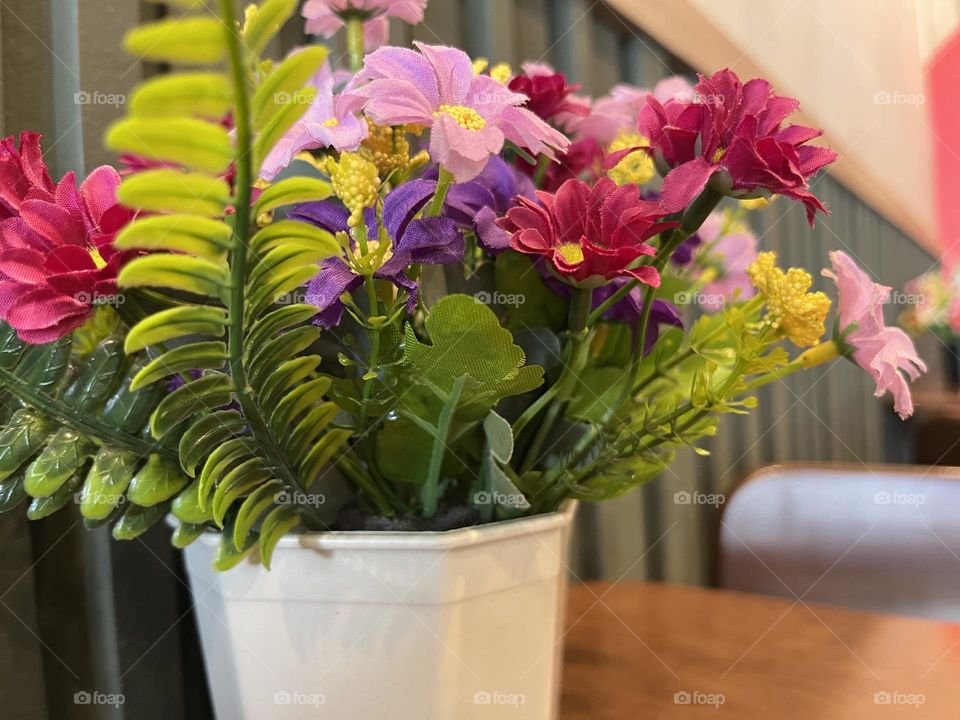 📷 Color Explosion 