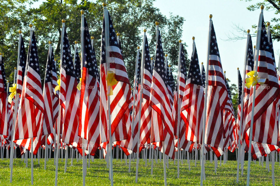 Flags