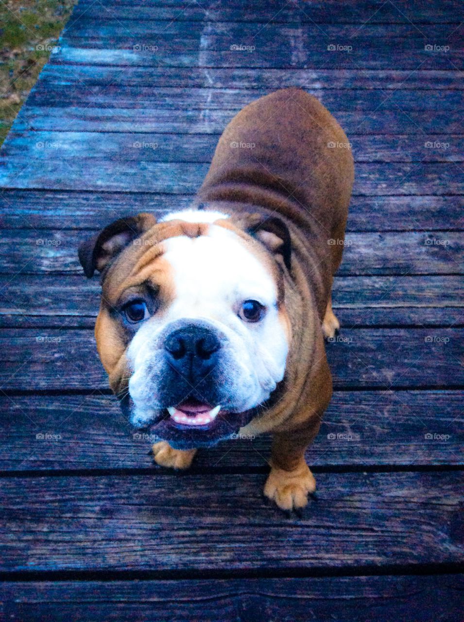 This is Negan!!! My Big Bad Bully Baby!!!