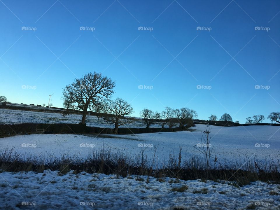 Light sprinkling of snow last night ... photo taken through a car window whilst heading to the forest for a walk 💙