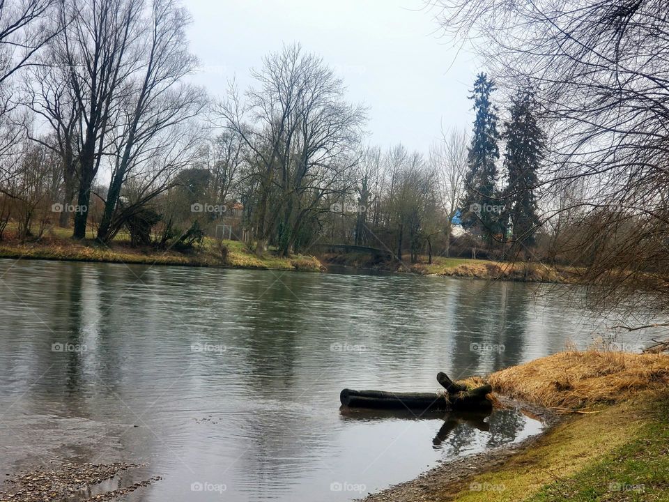 wood in the river