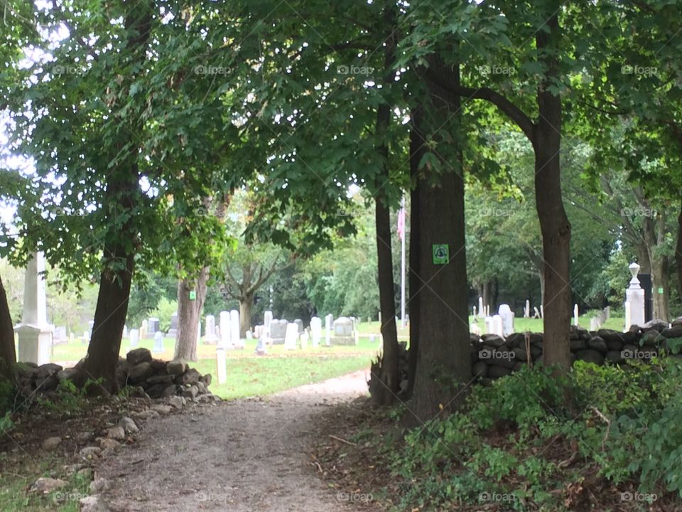 Cemetery Path Norwalk CT Pine Island 