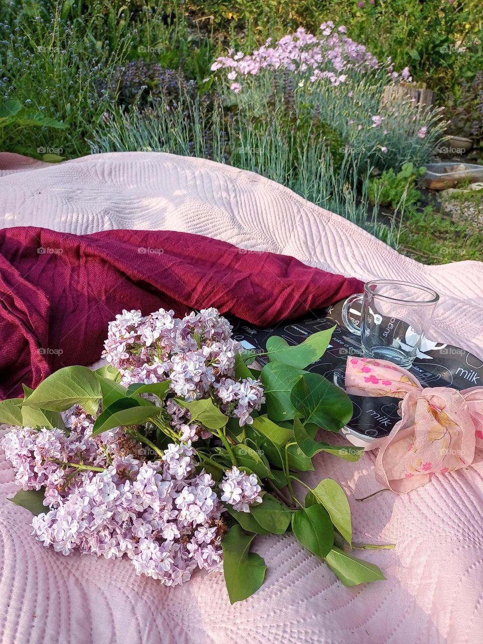 Urban Nature: picknick in the Park