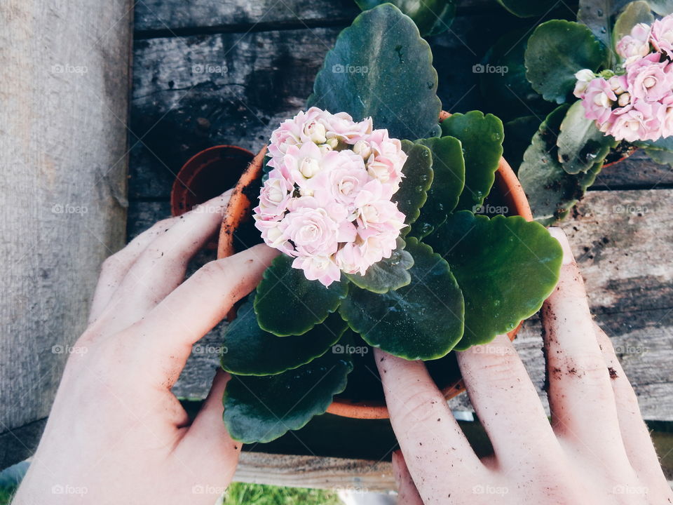 Close-up of a person planting